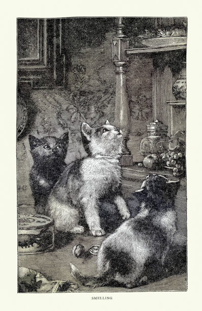 好奇的猫咪们看着架子上的鱼盘，动物艺术，维多利亚时代 1890 年代复古插画图片下载