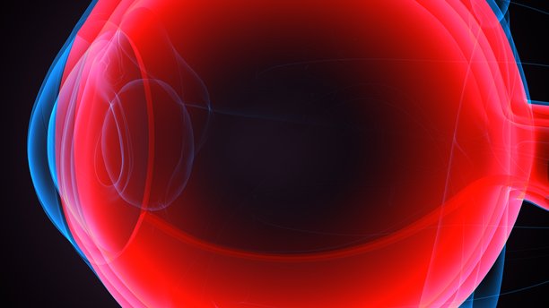 眼睛结构解剖图。三维插画图片下载