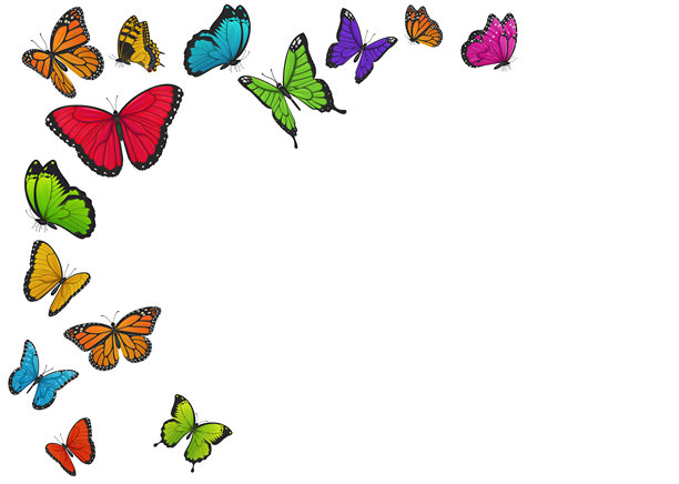 五彩斑斓的蝴蝶在白色背景上飞舞，矢量插画。图片下载