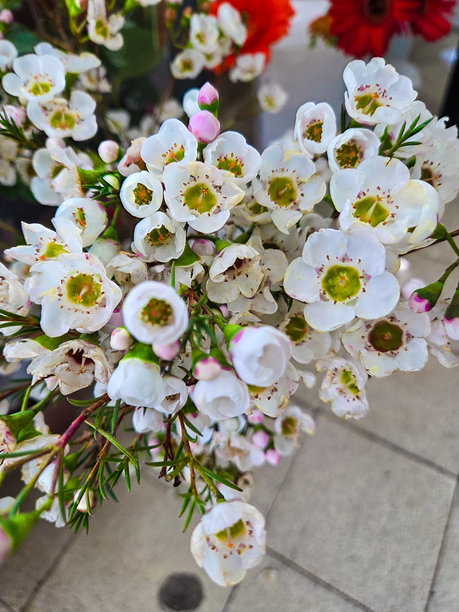 完美的鲜花和花束照片图片下载