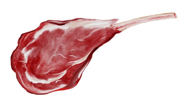 新鲜生牛肉牛排水彩插画。食物剪贴画。手绘有机牛肉在白色背景上。非常适合食谱设计、餐厅菜单和肉店招牌。图片下载