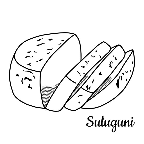 苏鲁古尼奶酪手绘插图。切片美味的软奶酪。雕刻风格设计，适用于乳制品包装。矢量插画图片下载