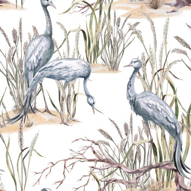 鹤与沼泽草的无缝图案。水彩插画，适用于生态项目、海报、酒店设计和自然保护区网站。图片下载