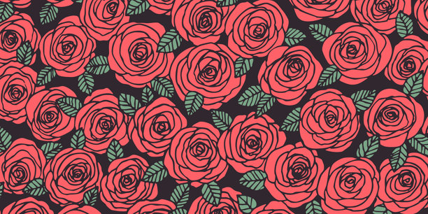 夏日玫瑰花背景。自然概念设计。现代花卉构图。海报、邀请函、贺卡的矢量插画。植物风格的玫瑰花框。留有复制空间。图片下载