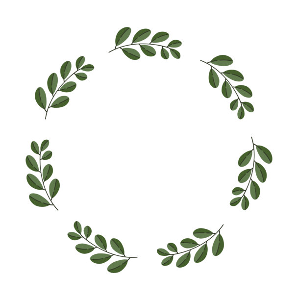 绿色叶子花环，简约植物圆形边框插画，适用于自然主题设计和可打印品图片下载
