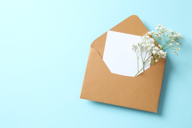 彩色背景上，满天星花朵与纸信封的俯视照片图片下载