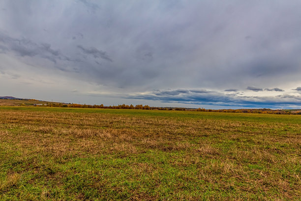 风景, 森林,喀尔巴阡山脉, 欧洲自然照片, 东欧图片下载