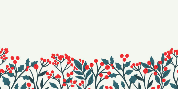 冬季植物和树叶的圣诞节横幅图案。节日背景，包含装饰性的季节性元素，如冬青、槲寄生、一品红、圣诞树枝、浆果。矢量扁平化插画。图片下载