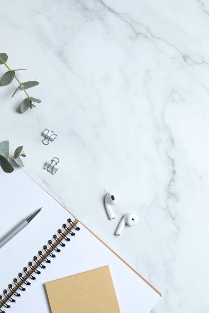 俯视角度拍摄的办公场所照片，包含计划本和钢笔，以及白底上的桉树叶，并留有空白空间。图片下载