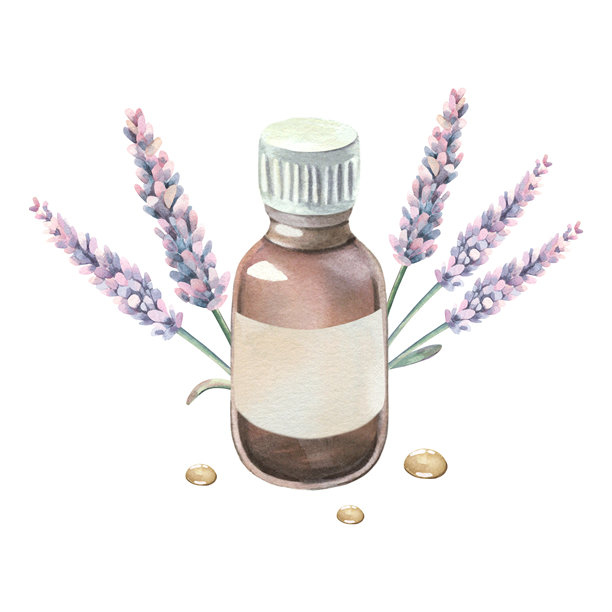 薰衣草花朵、带叶子的枝条、装有空白标签的精油玻璃瓶、滴液。手绘植物水彩插画，孤立在白色背景上。用于芳香疗法标签的药用草本图片下载