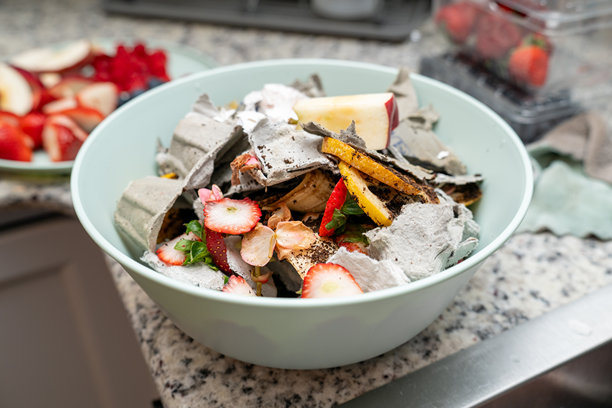 堆肥处理厨房垃圾，将食物残渣再利用和回收，转化为健康的园土。环保安全概念。图片下载