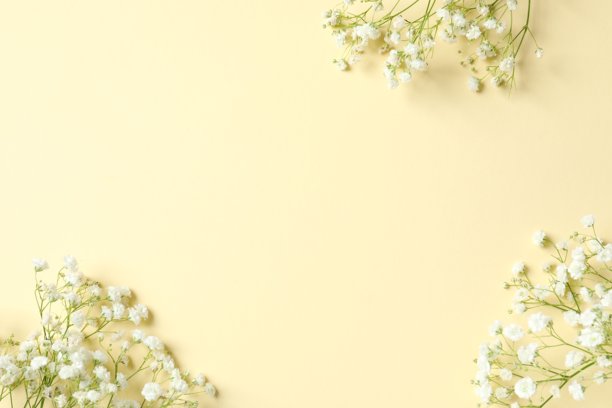 彩色背景上满是满天星花朵的俯视照片，留有空白空间图片下载