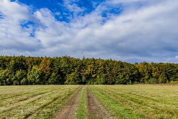 风景，森林，喀尔巴阡山脉，欧洲自然照片，东欧图片下载