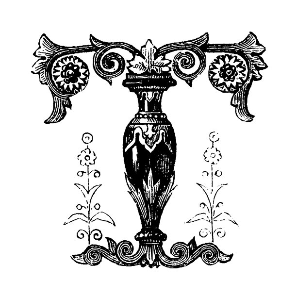 黑白精致的字母T，带有对称的花卉图案和卷曲花饰，展现优雅的装饰设计和字体艺术，复古插画，1845年图片下载