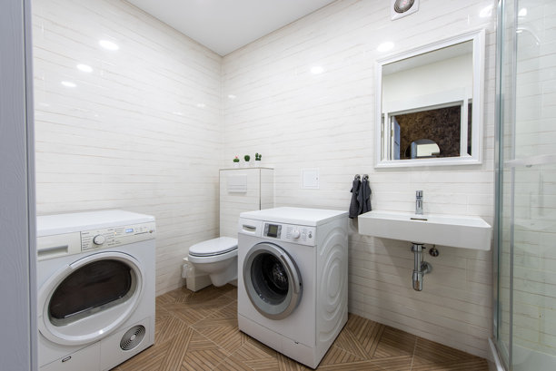 明亮现代的洗衣房，配有洗衣机、烘干机、水槽和极简主义装饰图片下载