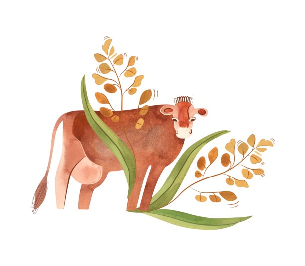 泽西牛是英国一种小型奶牛品种。一头牛在草地和鲜花构成的环境中。孤立的水彩插画，复古风格，适用于包装、儿童书籍和百科全书。剪贴画。图片下载