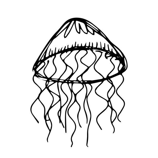 手绘水母涂鸦 海洋生物插画 可爱海洋水下生物 冥府之神素描剪贴画 单独元素适用于网页、设计、装饰、儿童印花图片下载