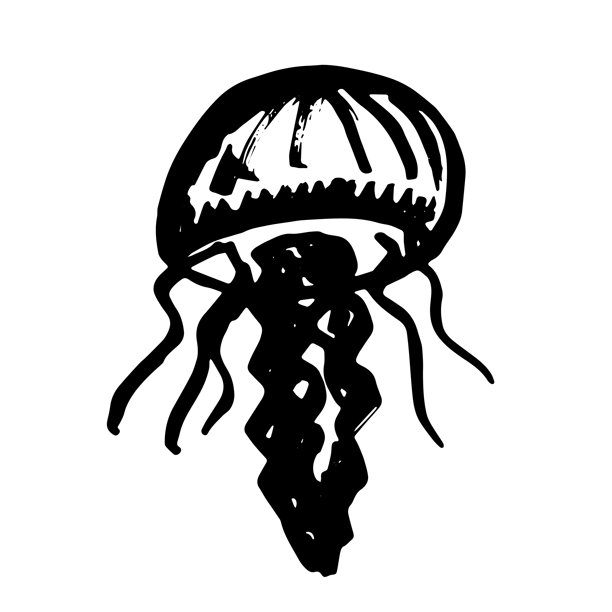 手绘水母涂鸦，海洋生物插画，可爱的海洋水下生物，水母素描剪贴画，用于网页、设计、装饰、儿童印花的单个元素图片下载