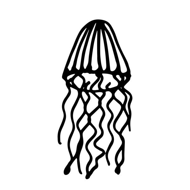 手绘水母涂鸦 海洋生物插画 可爱的海洋水下生物 冥府女神素描剪贴画 网页、设计、装饰、儿童印花的单个元素图片下载