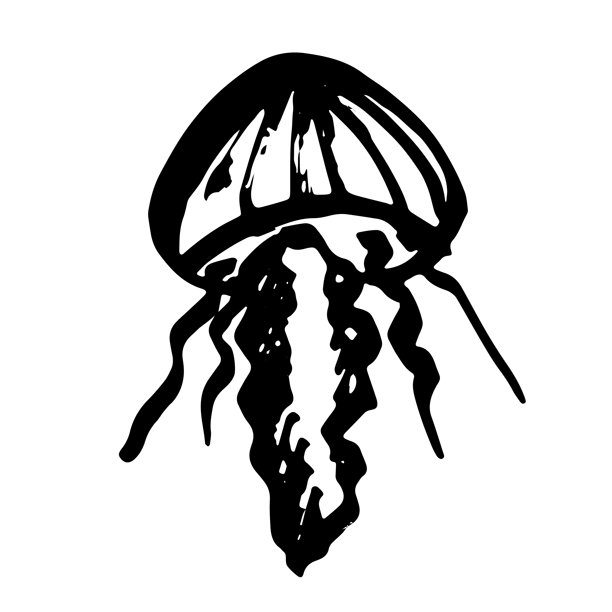 手绘水母涂鸦 海洋生物插画 可爱的海洋水下生物 麦杜莎素描剪贴画 单个元素，适用于网页、设计、装饰、儿童印花图片下载