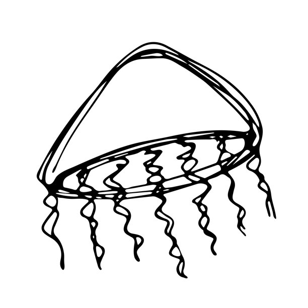 手绘水母涂鸦 海洋生物插画 可爱的海洋水下生物 麦杜莎草图剪贴画 单个元素，适用于网页、设计、装饰、儿童印花图片下载