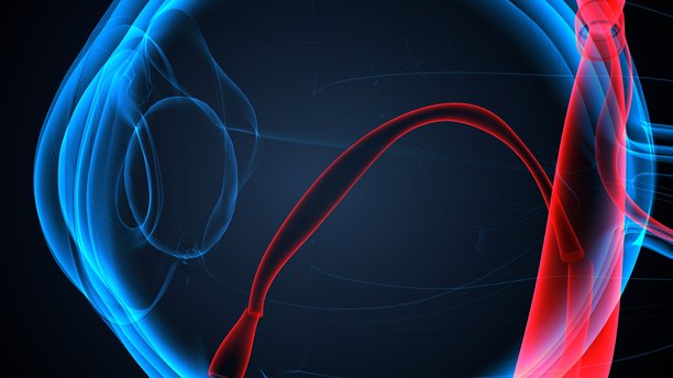 眼睛各部分的解剖结构。三维插画。图片下载