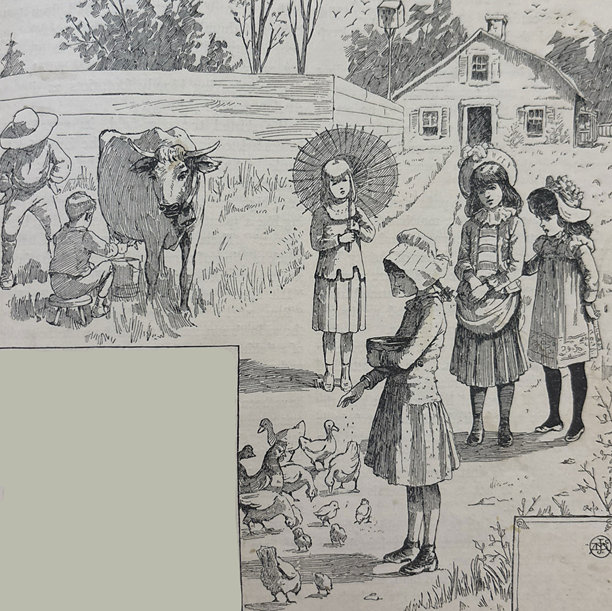 古董插画 - 孩子们在农家院里喂鸡挤牛奶图片下载