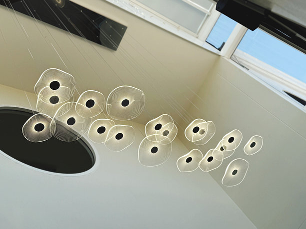 汽车车顶的圆形图案，照片特写图片下载