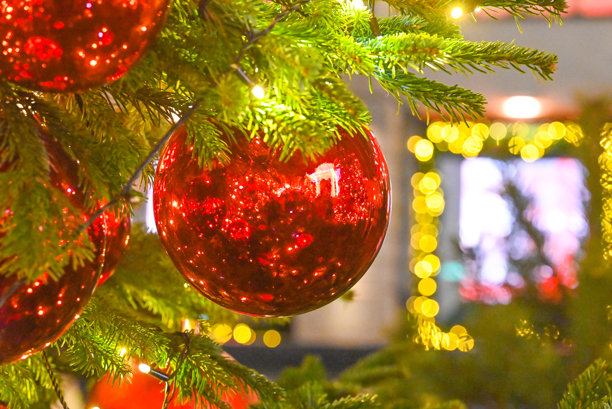 圣诞节静物。装饰有球饰和彩灯的圣诞枞树枝图片下载