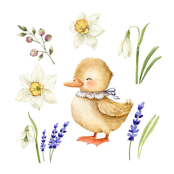 一套水彩风格插画，描绘了一只小鸭子在春天的花丛中，适合用于复活节贺卡或婴儿洗礼派对的卡片设计。图片下载