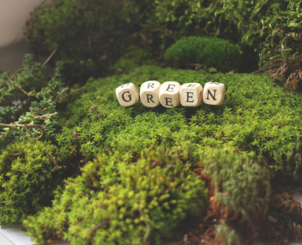 极简环保概念，单词“green”由木制字母珠组成，放在天然苔藓上。横向构图图片下载