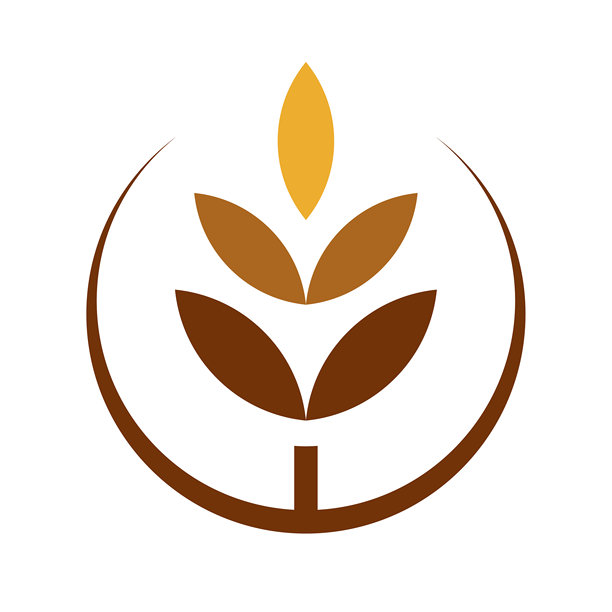 小麦谷物黑麦叶植物作物农场农业有机食品矢量设计插画图片下载