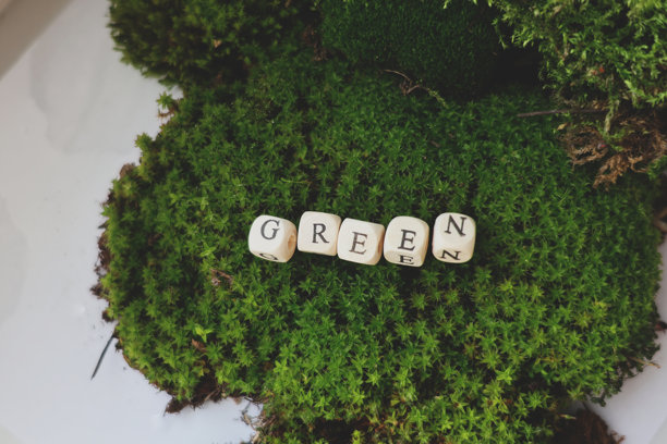 极简生态概念，用木制字母珠子拼出“绿色”一词，并将其放置在天然苔藓上。横向构图图片下载
