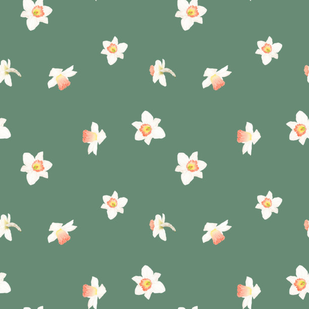 水彩插画，描绘了白色花瓣的黄水仙花。春日花园花卉，无缝图案，孤立在深色背景上。适用于复活节、三八妇女节、花店和纺织品印花。图片下载