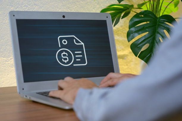 一个人在笔记本电脑上输入，旁边有金融文件和美元符号图标图片下载