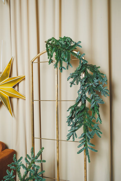 探索雅致的室内装饰，精美的植物组合，展示着郁郁葱葱的多肉藤蔓，它们被巧妙地布置在时尚的画框上，与现代的背景和氛围完美融合。图片下载