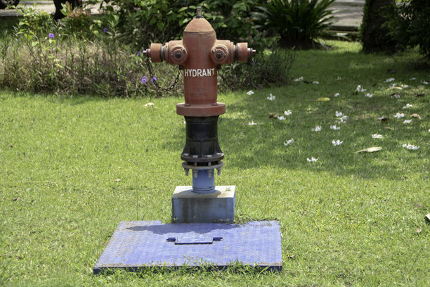 公园里，草地环绕着红色的消防栓的户外照片图片下载