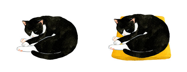 一套蜷缩入睡的黑白猫。手绘水彩宠物和动物插画集。图片下载