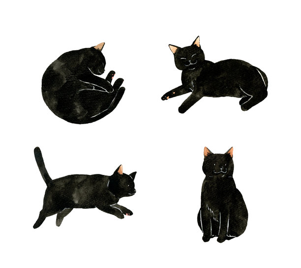 可爱的黑猫套装。手绘水彩宠物和动物插画集。图片下载