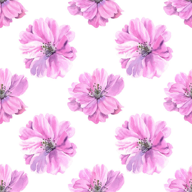 水彩粉色樱花图案插画图片下载