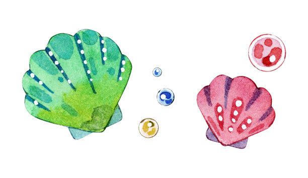 充满活力的水彩海螺和气泡手绘插画图片下载