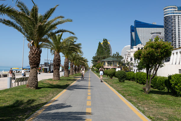 照片显示了巴统海滩长廊旁的自行车道，两侧有棕榈树，远处是现代摩天大楼天际线。图片下载
