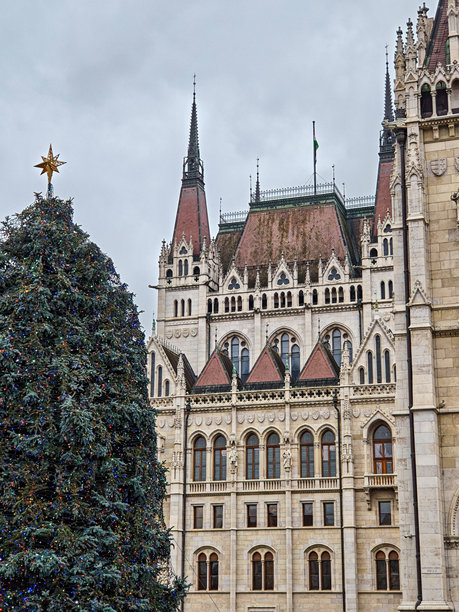 匈牙利国会大厦，前景是圣诞树，竖构图照片图片下载