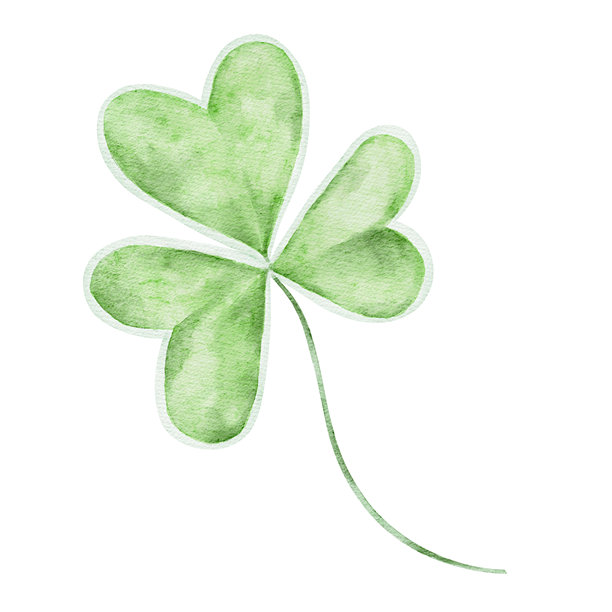 三叶草叶子插画，独立，手绘水彩剪贴画。非常适合爱尔兰节日设计、幸运符号、植物艺术和节日构图。图片下载