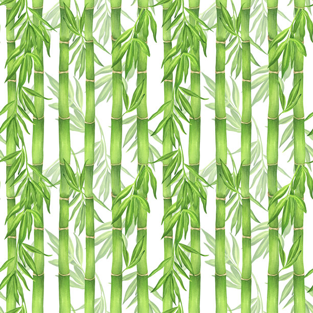 绿色竹子茎叶背景无缝图案。中国园林剪贴画。竹林。手绘水彩插画，适用于亚洲主题设计、包装、纺织品、包装纸图片下载