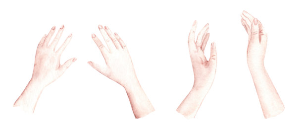 女性手部套装。写实风格的水彩手绘插画，孤立在白色背景上。手臂放置或持有物品的设计元素。图片下载