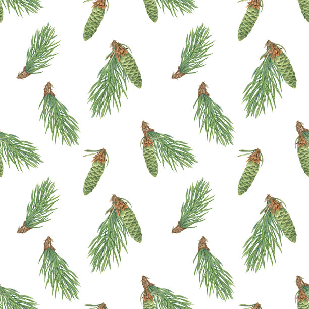 水彩风格的年轻绿色松果和松针枝叶无缝隔离图案。带松针的杉树或松树植物装饰。适用于节日设计、冬季背景、圣诞包装的森林插画。图片下载