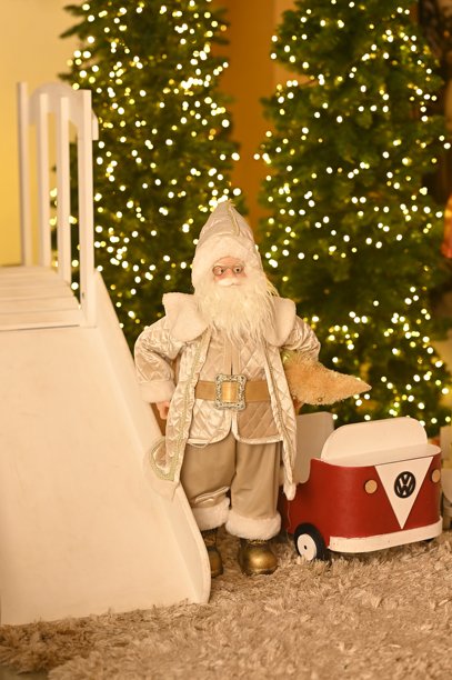 圣诞装饰 圣诞老人 花朵 雪 礼物 模糊区域 节日礼物 图片 摆设 圣诞树图片下载