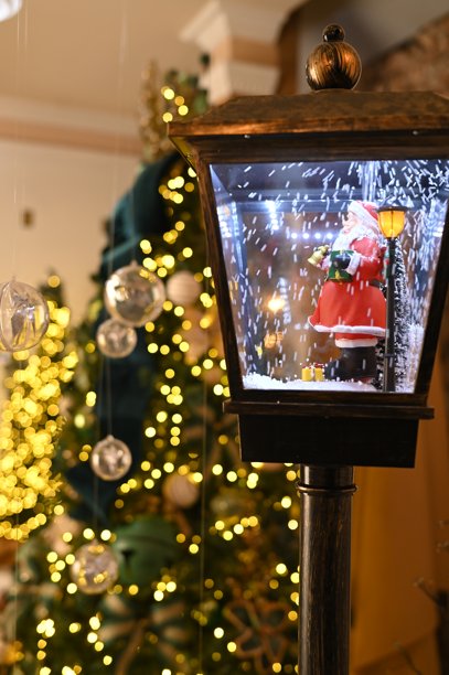 圣诞装饰 圣诞老人 花朵 雪 礼物 模糊区域 节日礼物 图片 摆设 圣诞树图片下载