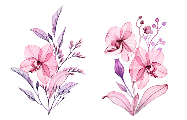 水彩花束。抽象透明的兰花、树枝和叶子，呈灰粉色和紫色。手绘植物插画，适合婚礼设计、文具卡片印刷。图片下载
